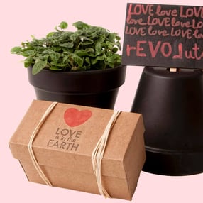 Caja "Love is the Earth" para jardineros románticos