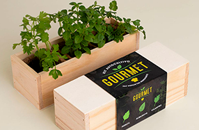 Superpack de Cultivo de hierbas aromáticas para llenar tus platos de SABOOOOR
