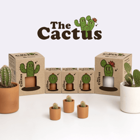 Crea tu propia familia de cactus - The Cactus Family