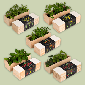 Kits de Autocultivo para llenar tus platos de SABOOOOR