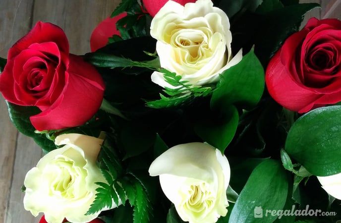 Ramo de rosas rojas y blancas | Regalador.com
