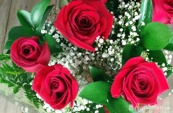 Ramo de rosas rojas para enamorar 