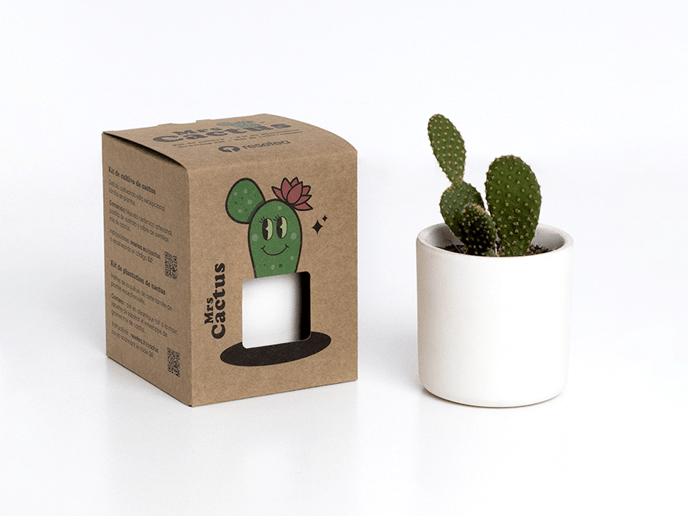 Mr. Wonderful - ¡A tod@s los amantes de los cactus! 🌵 Esto os va a  encantar: por cualquier compra en la web os podéis llevar este BOLI CACTUS  DE REGALO introduciendo el