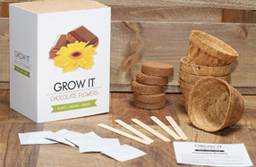 Kit De Cultivo De Flor De Chocolate - Incluye Semillas, Maceta De Coco Y Sustrato, Regalo Ecológico
